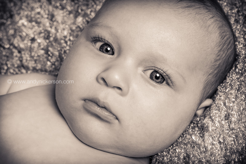 baby-portraits-northampton