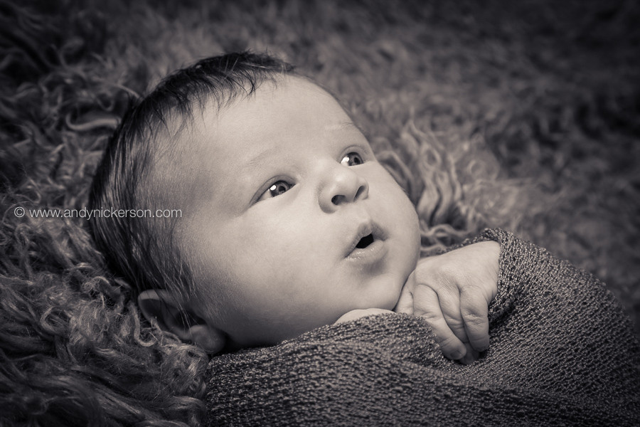 newborn-baby-photography-northampton