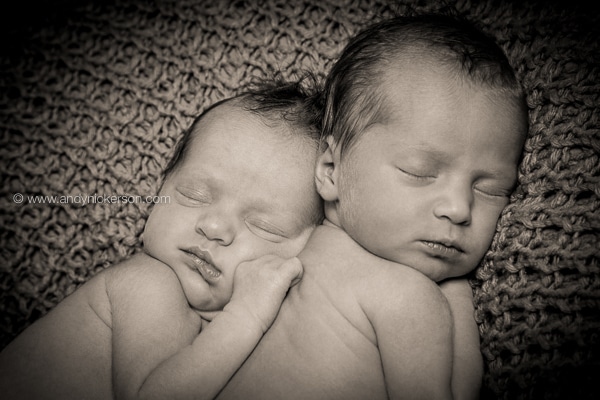 baby-twins-photoshoot