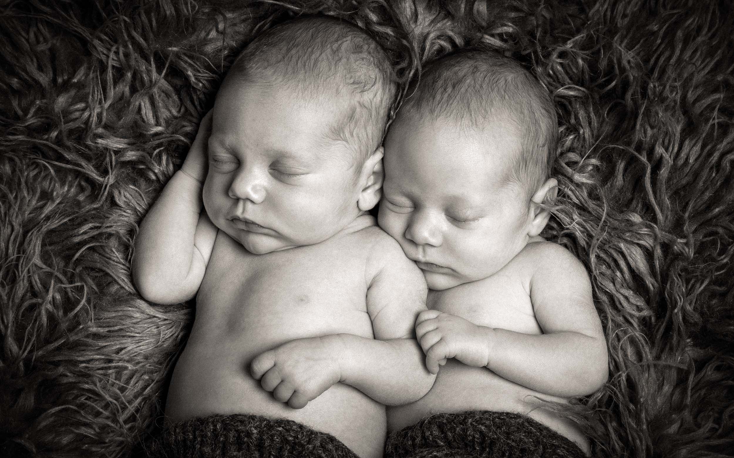 twin-newborn-photography-northampton twin-newborn-photography-northampton