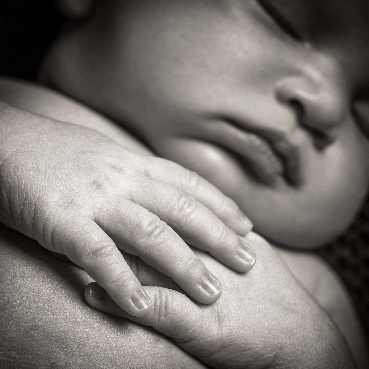 newborn-photography-hands-northampton-2025 newborn-photography-hands-northampton-2025